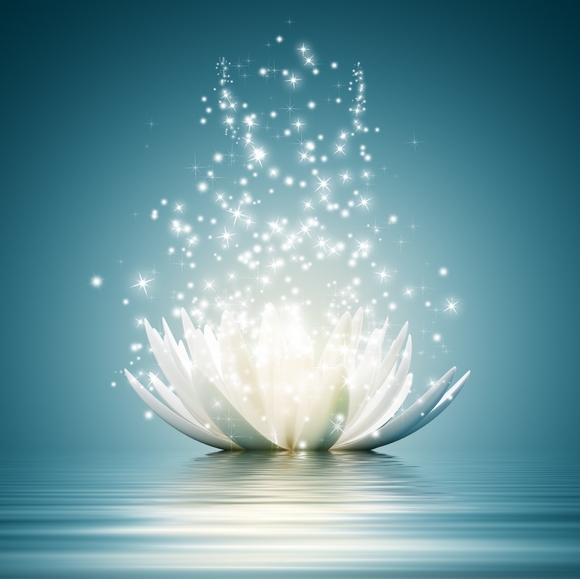 Meet your Posher, Laura - Picture 1 of 1